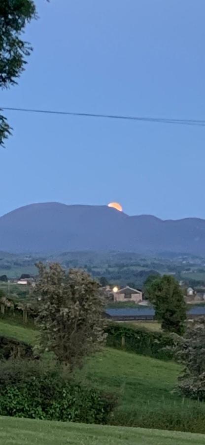 The View At 37 B&B Banbridge Eksteriør bilde
