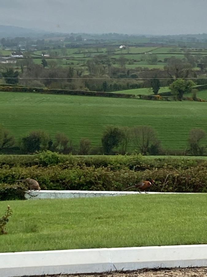 The View At 37 B&B Banbridge Eksteriør bilde